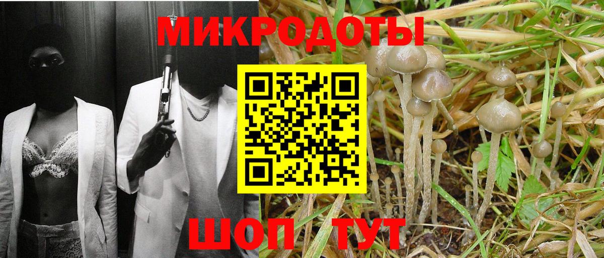 продажа наркотиков  Галлюциногенные грибы Magic Shrooms  Волжский  Вход с VPN  Галлюциногенные грибы мухоморы 
