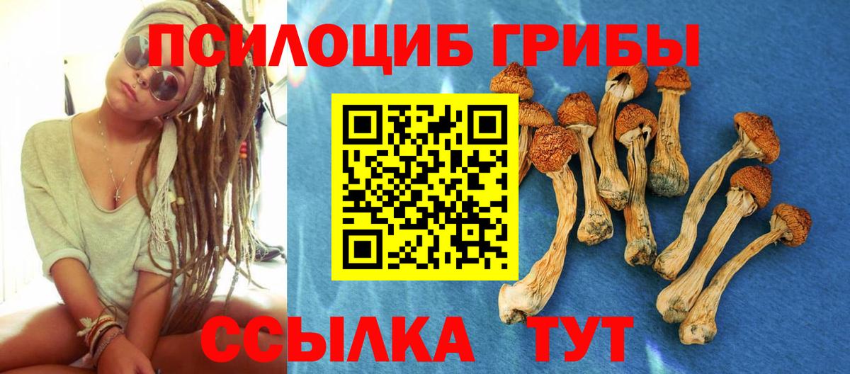 Галлюциногенные грибы Psilocybe Волжский
